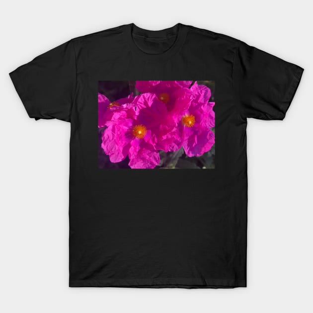 Hot Pink Flash of the Crinkled Rose Flower T-Shirt by Photomersion